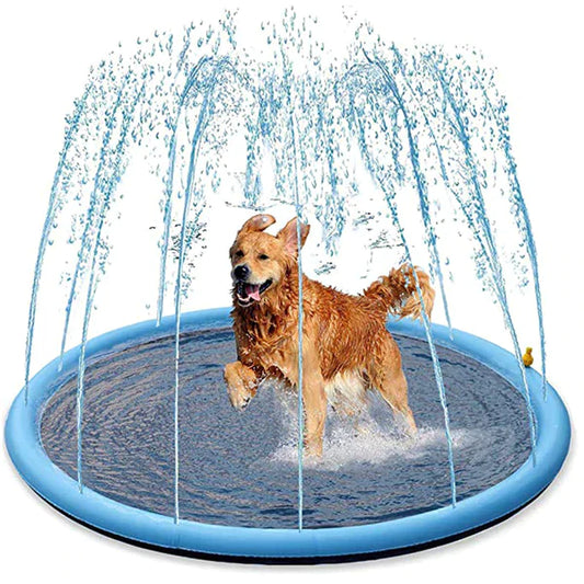 PfotenSpass™ Hunde - Wasserparadies