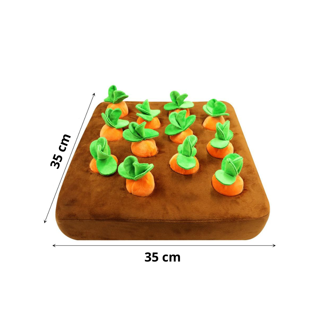 PfotenSpass™ Karotten-Farm