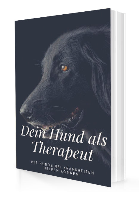 Dein Hund als Therapeut E-Book