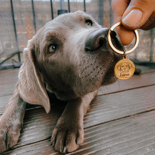 Personalisierter Schlüsselanhänger - Verewige deinen Liebling!