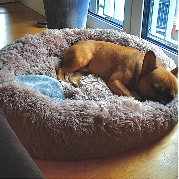 PfotenSpass™ Hundebett "Wolke 7" - Das Original