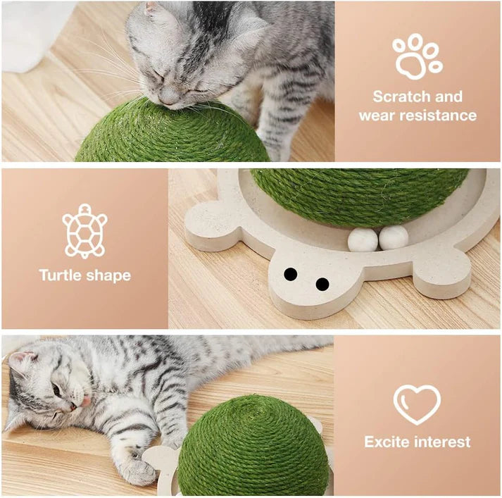 Wir präsentieren Scratch Turtle™ – das interaktive Kratzspielzeug für Katzen!
