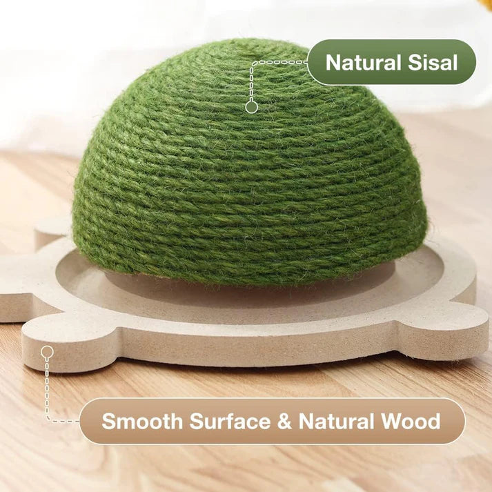 Wir präsentieren Scratch Turtle™ – das interaktive Kratzspielzeug für Katzen!