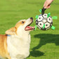 Fußball für Hunde