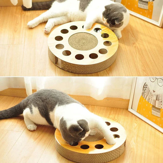 Wir präsentieren Poke & Scratch™ – das interaktive Kratzspielzeug für Katzen!