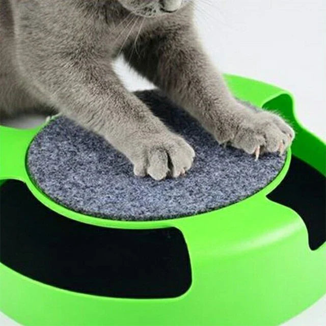 Interaktive Maus für Katzen