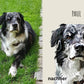 Personalisiertes Haustier Portrait