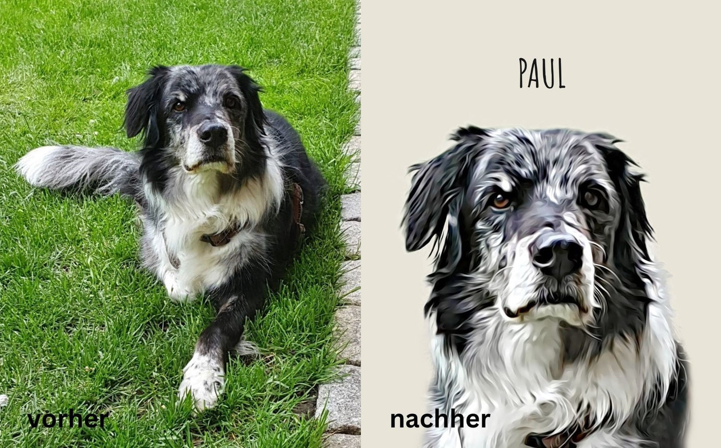 Personalisiertes Haustier Portrait