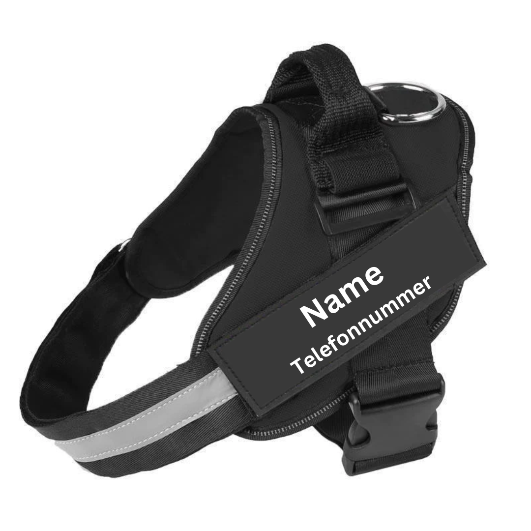 Personalisiertes Hundegeschirr