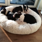 PfotenSpass™ Hundebett "Wolke 7" - Das Original