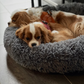PfotenSpass™ Hundebett "Wolke 7" - Das Original
